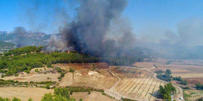 antalya-orman-yangini-serik.jpg