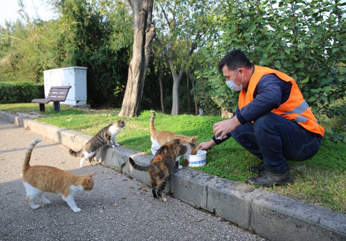 antalya-buyuksehir-belediyesi-koronavirus-salgini-nedeniyle-sokaga-cikma-kisitlamasinin-uygulandigi-her-hafta-sonu-dahil-haftanin-7-gunu-sokakta-yasayan-hayvanlari-besliyor-002.jpg