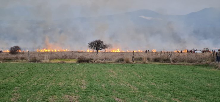 Burdur’da 50 dönüm sazlık yandı