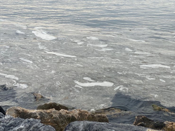 Pendik ve Kartal sahilinde tedirgin eden görüntü; Daha önce rastlamamıştık