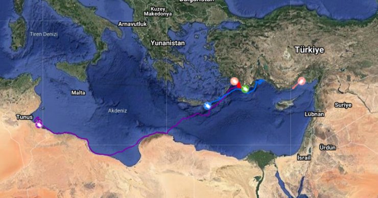 Uydu takip cihazlı 12 Caretta caretta'dan 9'u Türkiye'de kaldı