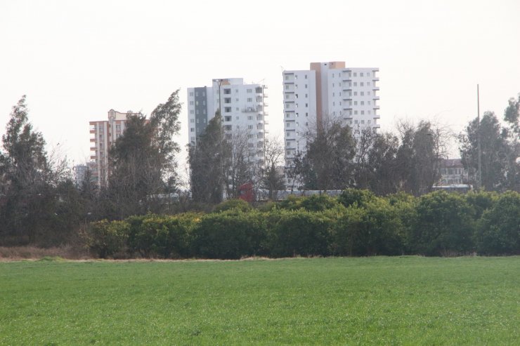 Yol kenarındaki arazilerde üretilen 'tarımsal' gıdalardaki tehlike