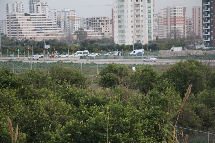 Yol kenarındaki arazilerde üretilen 'tarımsal' gıdalardaki tehlike