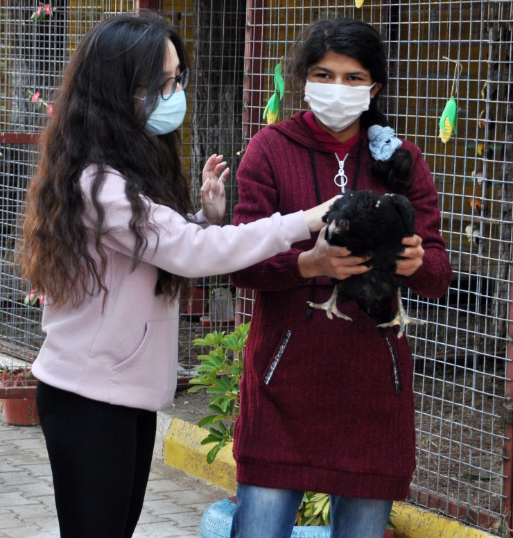 Özel Öğrenciler Engelli Hayvanlara Kucak Açtı