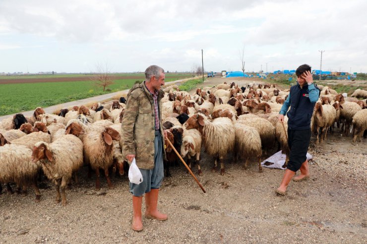 Baba Mesleği Hayvancılığa Devam Eden İpek Ailesi, Yaşamlarını Çadırda Sürdürüyor