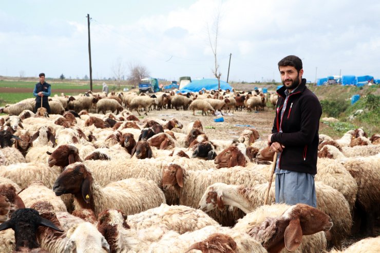 Baba Mesleği Hayvancılığa Devam Eden İpek Ailesi, Yaşamlarını Çadırda Sürdürüyor