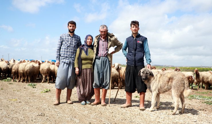 Baba Mesleği Hayvancılığa Devam Eden İpek Ailesi, Yaşamlarını Çadırda Sürdürüyor