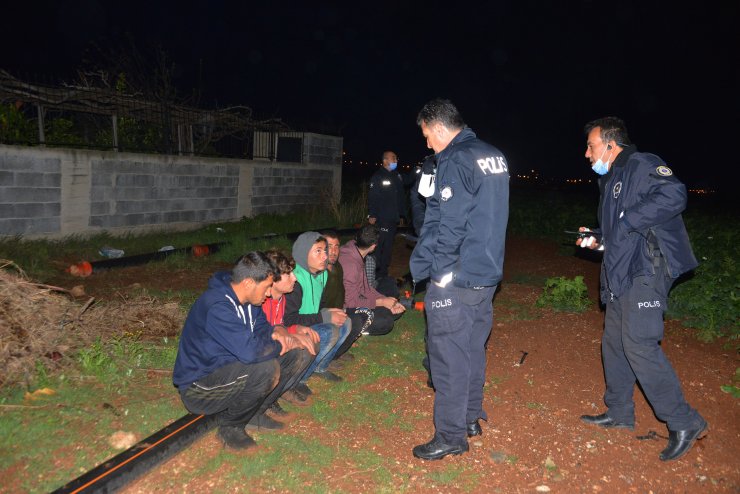 30 Kilometre Kaçtılar, Patates Tarlasında Yakalandılar