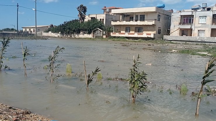 Hatay'da Lodos Hayatı Olumsuz Etkiledi (2)