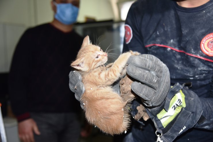 Tavan Arasında Mahsur Kalan Yavru Kedi Kurtarıldı