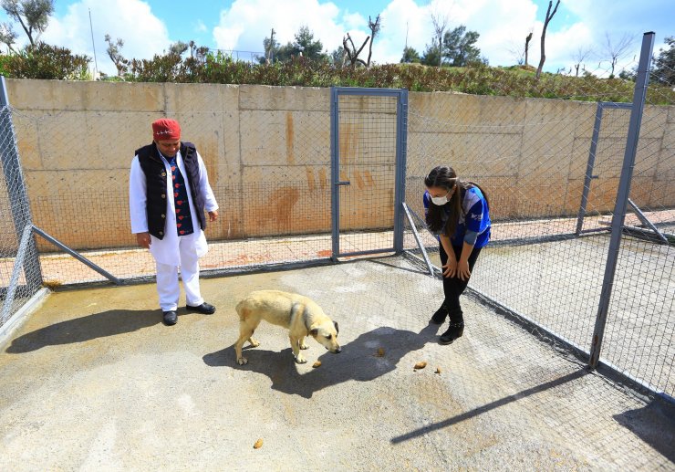 Vücudunda Saçmalarla Bulunan Köpek, 1 Aylık Tedaviyle Sağlığına Kavuştu