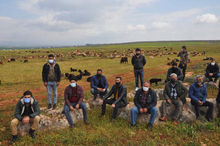 Reyhanlı’da Besicilere Sahada 'sürü Yöneticiliği' Kursu