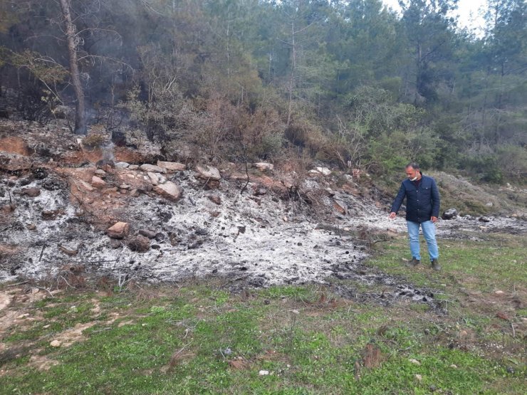 Antalya'daki Orman Yangını Sonrası Ağaç Kesenler Araştırılıyor 