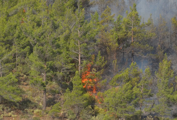 Hatay’daki Orman Yangınıyla İlgili İddianame Kabul Edildi