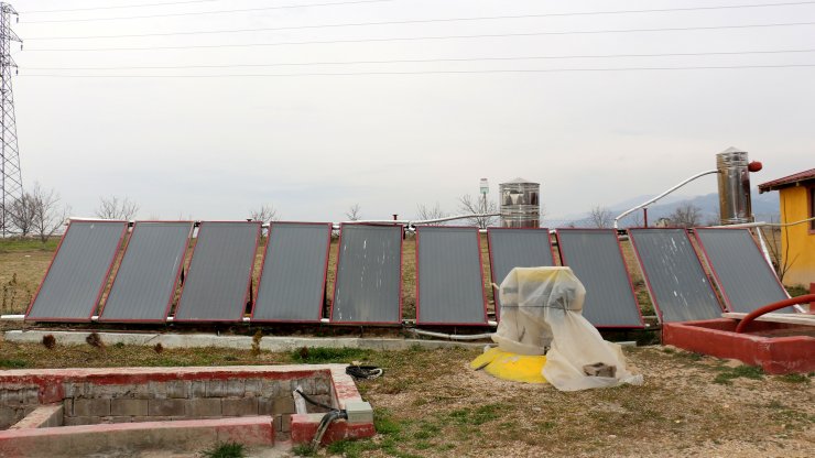 Kadın Girişimci Tezekten Biyogaz Üretti