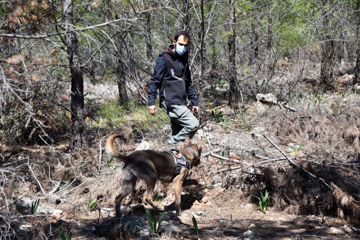 Antalya'da Kayıp Ahmet Hemşire, Kadavra Köpeği Ve Dron İle Aranıyor