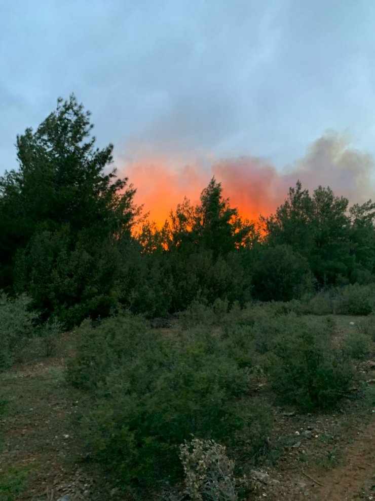 Muğla'da, 5'er Dakika Arayla Ormanlık İki Alanda Yangın