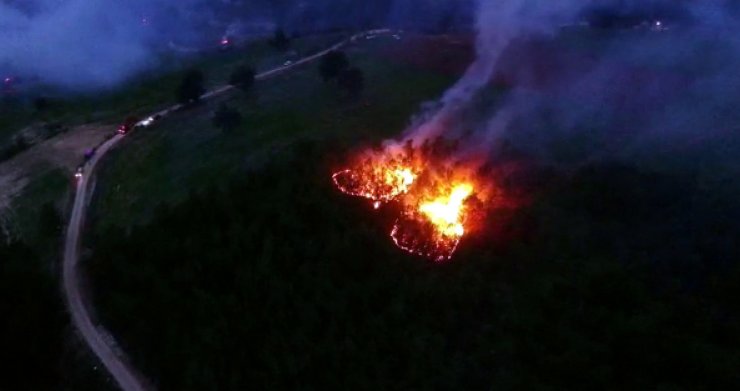 Muğla'daki Orman Yangınlarında 'sabotaj' Şüphesi