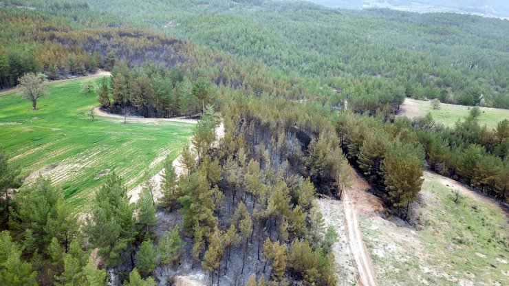 Muğla'daki Orman Yangınlarında 'sabotaj' Şüphesi (2)