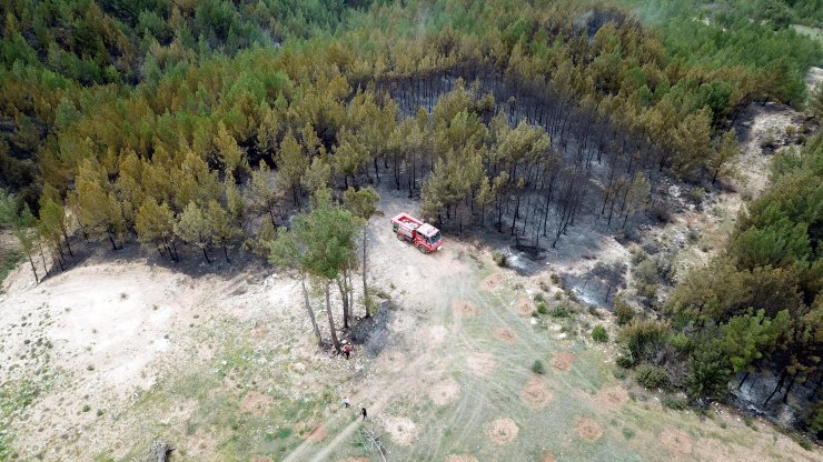 Muğla'daki Orman Yangınlarında 'sabotaj' Şüphesi (2)