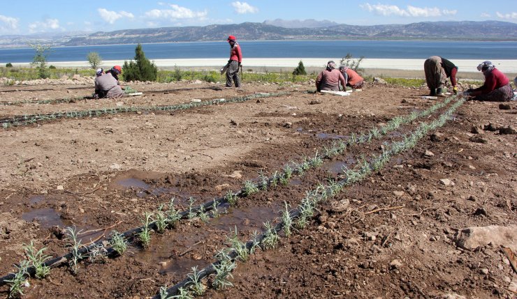 Burdur Gölü'nü 'susuz Tarım' Kurtaracak