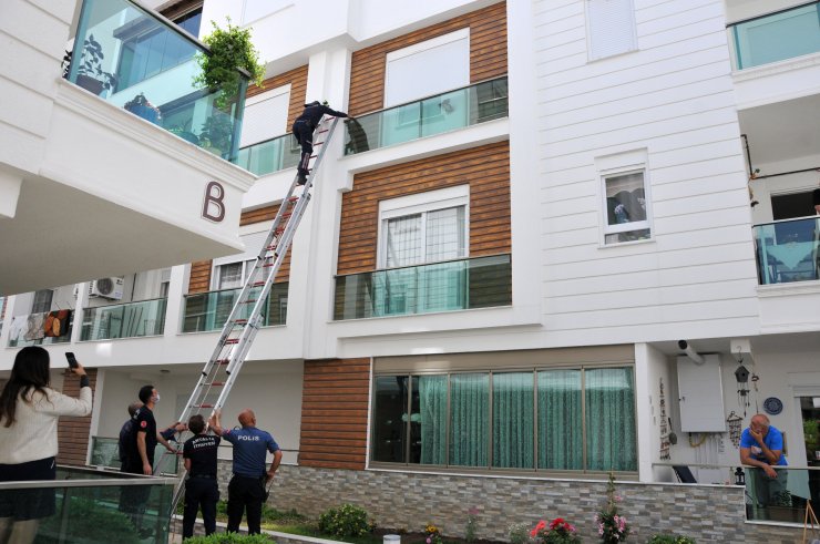 Antalya'da Kumru Kurtarma Seferberliği