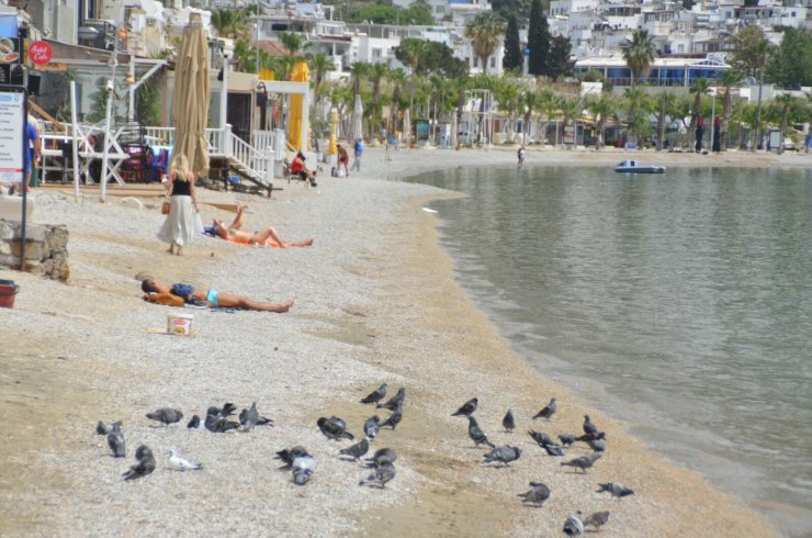 Bodrum Plajları 'tam Kapanmada' Turistlere Kaldı