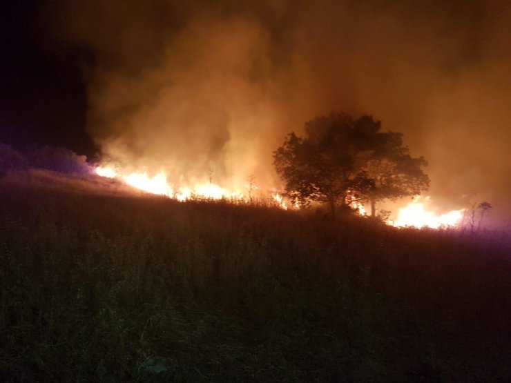 Bodrum'da Otluk Ve Makilik Alanda Yangın