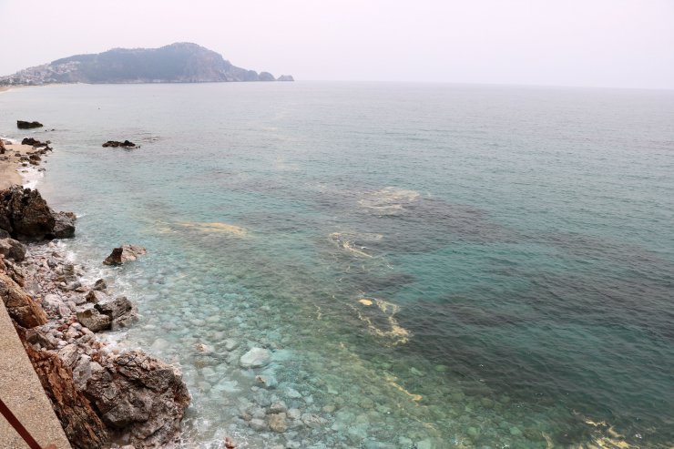 Alanya Kıyılarında Deniz Salyası