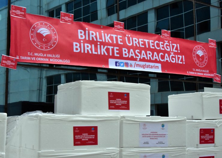 'siz Bizim Her Şeyimizsiniz' Sloganıyla Sağlıkçılara 20 Ton Balık