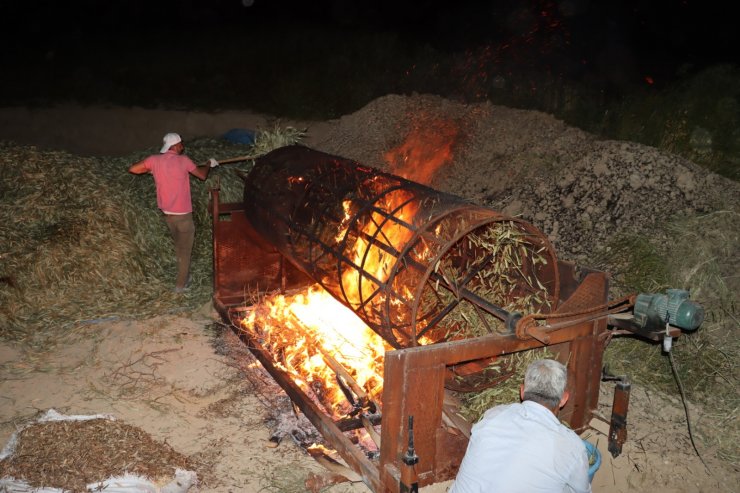 Çiftçilerin 'firik' Mesaisi; İftardan Sonra Başlayıp, Sahura Kadar Çalışıyorlar