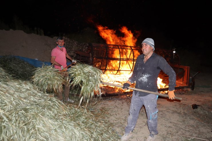 Çiftçilerin 'firik' Mesaisi; İftardan Sonra Başlayıp, Sahura Kadar Çalışıyorlar