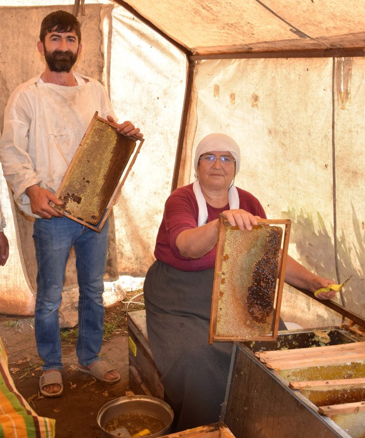 Gezgin Arıcılardan 'geçiş Üstünlüğü' Talebi