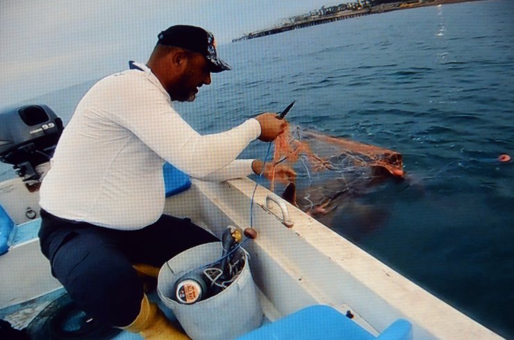 Ağa Takılan Caretta Carettayı 'tamam Gülüm' Diyerek Kurtardı