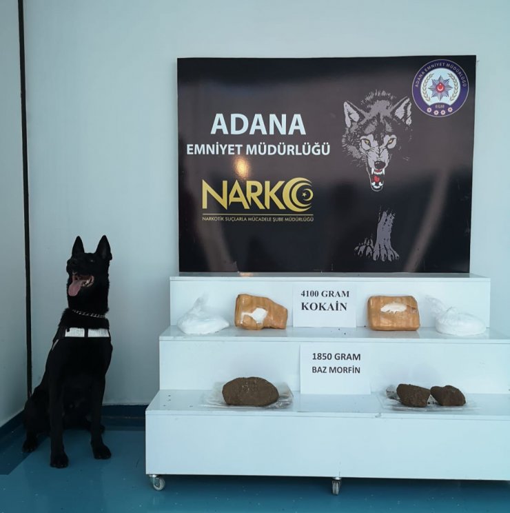 Adana'da Tır'da Kokain Ve Baz Morfin Ele Geçirildi: 2 Tutuklama