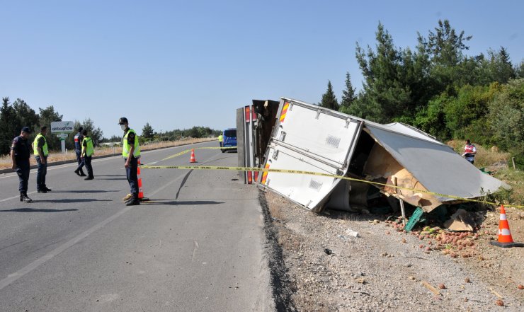 Meyve Yüklü Kamyon Devrildi, Şoför Öldü