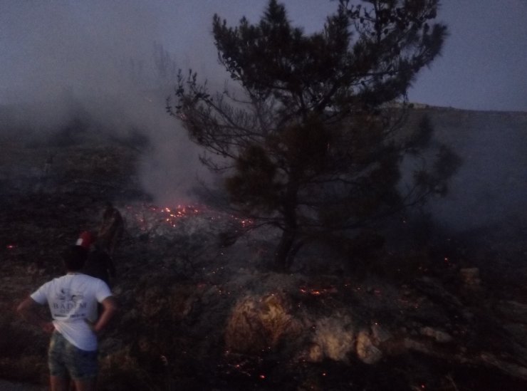 Datça'da Makilik Alanda Yangın