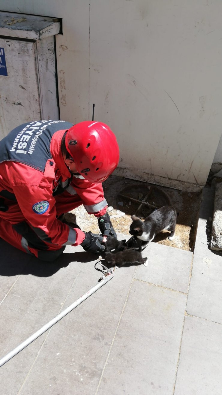 Duvar Kaplamasına Sıkışan Yavru Kedileri İtfaiye Kurtardı