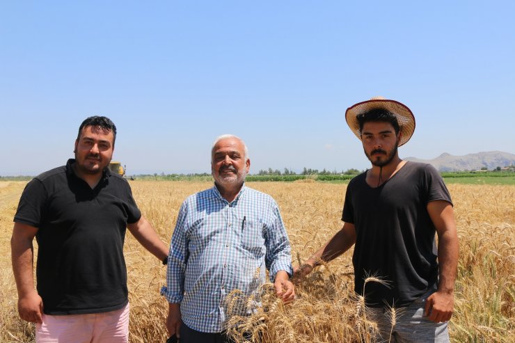 Kozan'da Sezonun İlk Buğday Hasadı Yapıldı