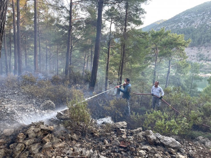 Burdur'da Orman Yangını (2)