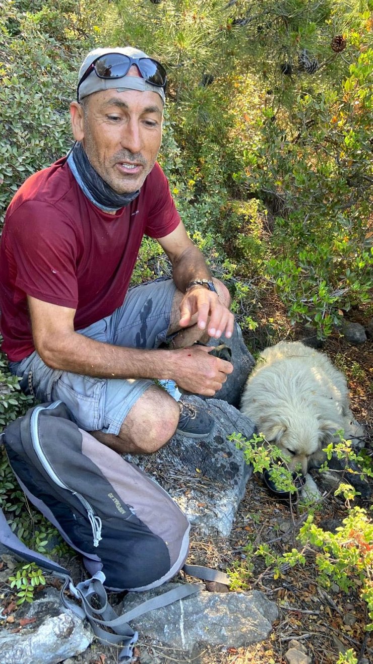 Kurtardıkları Köpeği Sırtında Taşıdı