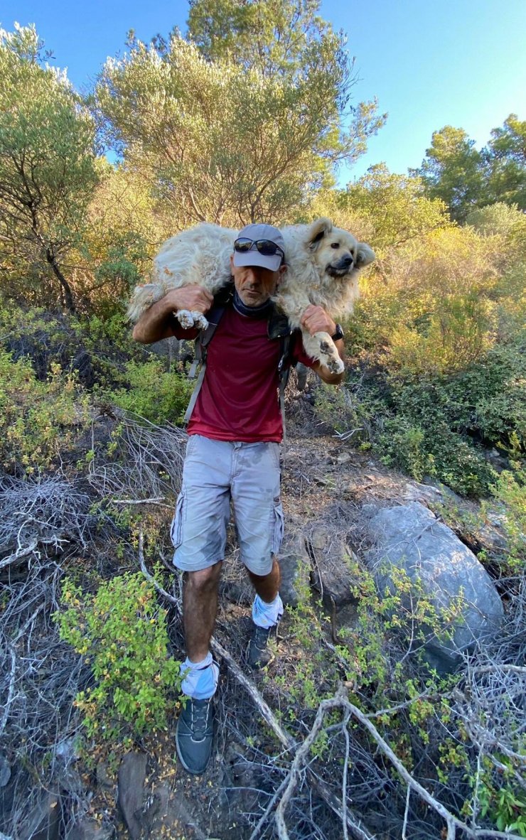 Kurtardıkları Köpeği Sırtında Taşıdı