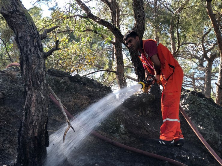 Antalya’da Orman Yangını Büyümeden Kontrol Altına Alındı