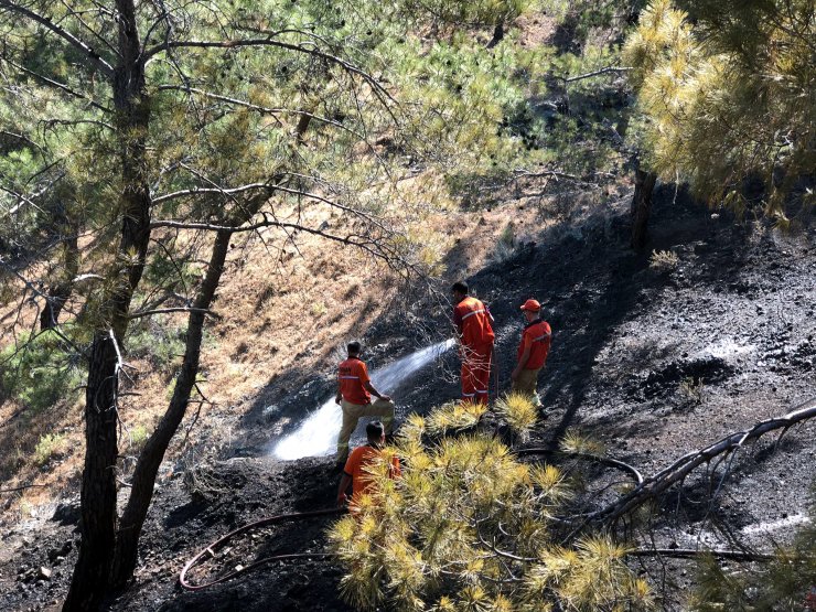 Antalya’da Orman Yangını Büyümeden Kontrol Altına Alındı