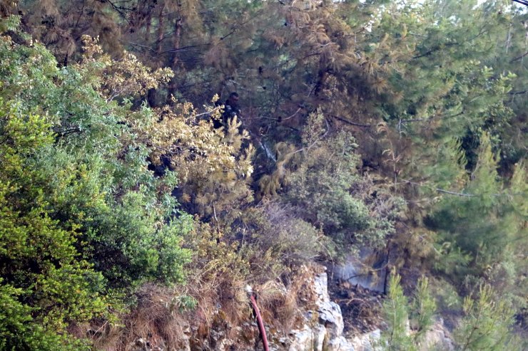 Huzurevi Yakınında Bulunan Ormanlık Alanda Çıkan Yangın Söndürüldü