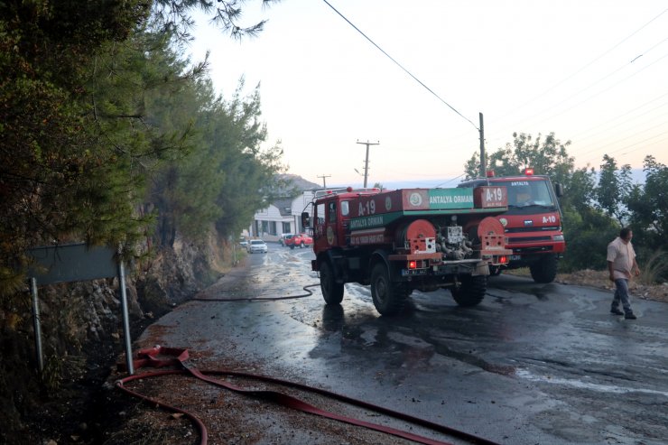 Huzurevi Yakınında Bulunan Ormanlık Alanda Çıkan Yangın Söndürüldü