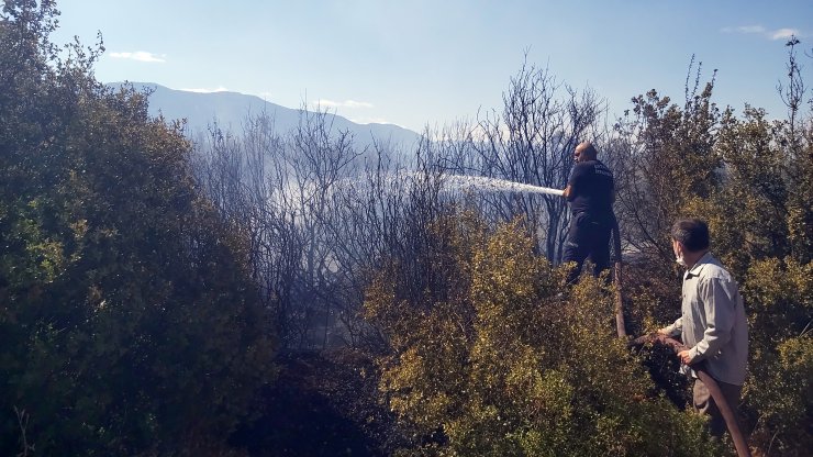 Yangın Alanından Kaçmaya Çalışan Yılan Aracın Altında Kalarak Öldü