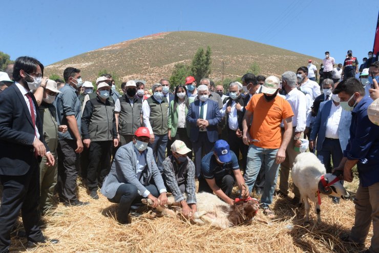 Bakan Pakdemirli: Tarım, Geçen Yıl Yüzde 5'e Varan Büyümeyle Ekonomiye Büyük Katkı Sağladı