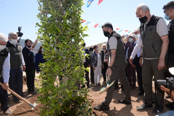 Bakan Pakdemirli: Tarım, Yüzde 5'e Varan Büyümeyle Ekonomiye Büyük Katkı Sağladı (3)