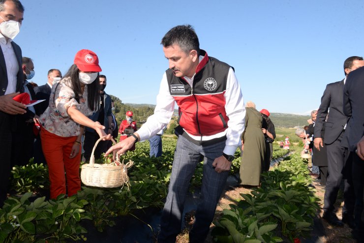 Bakan Pakdemirli: Tarım, Yüzde 5'e Varan Büyümeyle Ekonomiye Büyük Katkı Sağladı (4)